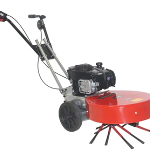 Must-Have Tielbürger Wildkrautbürste hw50 B&S-Motor Exi