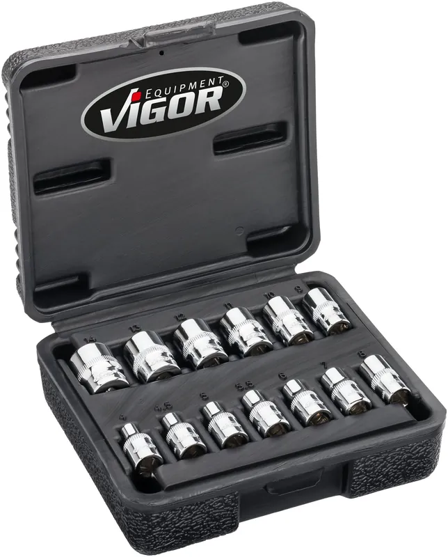 VIGOR Doppelsechskant-Steckschlüssel Satz · V7514/13 · Vierkant hohl 6,3 mm (1/4 Zoll) · Außen Doppel-Sechskant Profil · 25 mm · Anzahl Werkzeuge: 13 Jetzt Kaufen