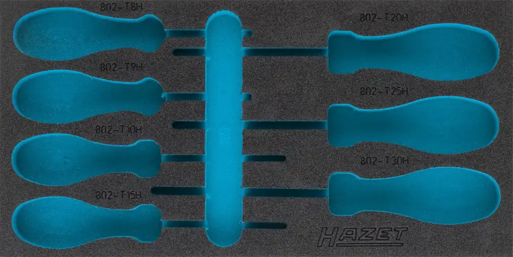 HAZET 2K-Weichschaum-Einlage 163-422L Top-Preis
