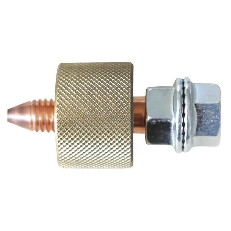 GYS Elektrode für magnetische Masse - 050013 Preiswert