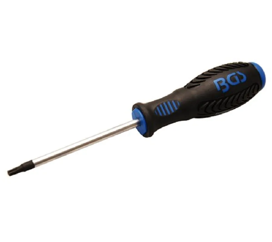 BGS Schraubendreher | T-Profil (für Torx) mit Bohrung T25 | Klingenlänge 100 mm – 7849-T25 Markenprodukt